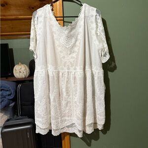 Francesca's Collections Ivory Lace Mini Dress